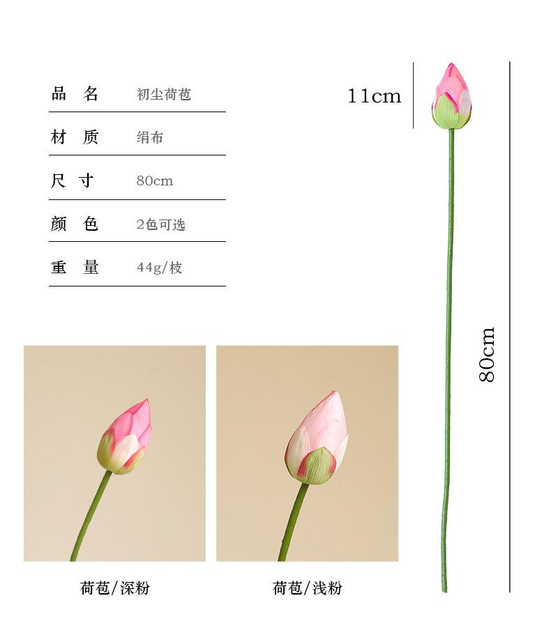初尘荷花系列_05.jpg