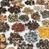 Virutas de Madera Cáscara de Nuez Material Planta Taibao Especimen Piña de Pino Paquete de Materiales de Flores Secas DIY Chen Mai Hecho a Mano Bellota Seca Marco de Fotos