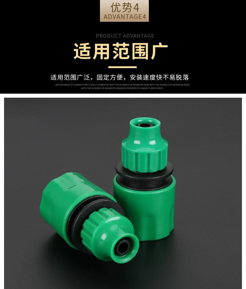 绿色大孔_13