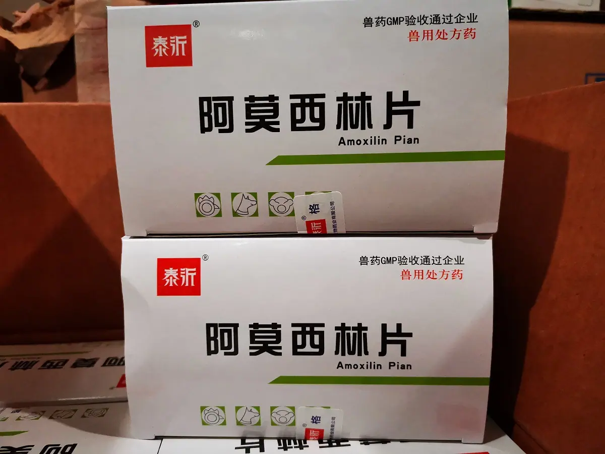 阿莫西林3.jpg