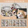 Adesivos de Gatinhos Rivais Fofos Emojis de Pets Fofos Adesivos em Rolo Decoração para Diário Infantil Adesivos para Sala de Aula de Alunos Adereços para Pegadinhas