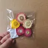Bolsas de Porciones Pequeñas de Flores Secas, Flores Conservadas, Abanicos Hechos a Mano para DIY, Arreglos Florales Flotantes, Actividades de Team Building, Pegamento, Pinzas