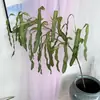 Folhas de samambaia artificiais e plantas verdes para decoração, acessórios para cena de casamento, plantas artificiais para decoração de interiores