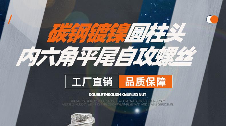 碳钢镀镍圆柱头内六角平尾自攻螺丝_01_01.jpg
