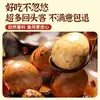 Paquete de Marinada para Huevos de Té para Uso en Casa, Paquete de Condimento de Cinco Especias para Huevos de Té, Paquete de Especias para Huevos Estofados Comercial, Tienda Oficial Principal