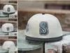 Nueva Gorra de Béisbol MLB 2025 para Hombres y Mujeres, Gorra de Visera Plana Bordada, Protección Solar, Ajustable, Moderna y Versátil