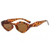2026 Nuevas Gafas de Sol Poligonales Elegantes de Moda Europea y Americana Montura Pequeña Protección UV Estilo Callejero Gafas de Sol de Alta Gama Selección de Influencers