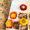 Decoraciones Navideñas, Piñas, Flores Secas, Adornos Creativos Hechos a Mano DIY de Material de Bosque, Decoraciones para Entorno de Jardín de Infancia