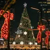 3- 50m Marco grande Árbol de Navidad hecho a medida Decoración exterior para centros comerciales navideños Iluminación de proyecto para check-ins en redes sociales