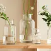 Jarrón de Vidrio Marrón Vintage Estilo Ins Nórdico Transparente Marrón Arreglo Floral Hidropónico Recipiente para Flores Frescas Decoración