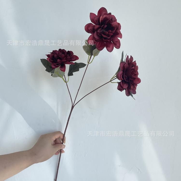 微信图片_202208111652106_副本