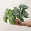 Plantas Verdes Simuladas Folhas de Jiboia Folhas de Casco de Tartaruga Paisagismo de Micro Paisagem Inseridas no Solo Folhas de Lótus de Guanyin Decoração de Casa Plantas em Vasos Plantas Artificiais