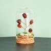 Cristal natural original con cubierta de vidrio, micropaisaje, árbol de cristal, regalo científico popular para niños, adornos de decoración para el hogar.