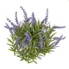 Decoração de Flor Imortal Simulada Multicor Cruzamento Material de Planta Verde Material de Flor Imortal Flor Seca Lavanda