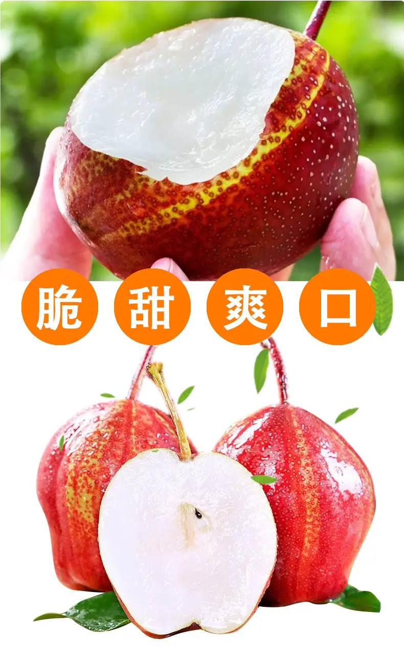 陕西稀世彩虹梨详情图3