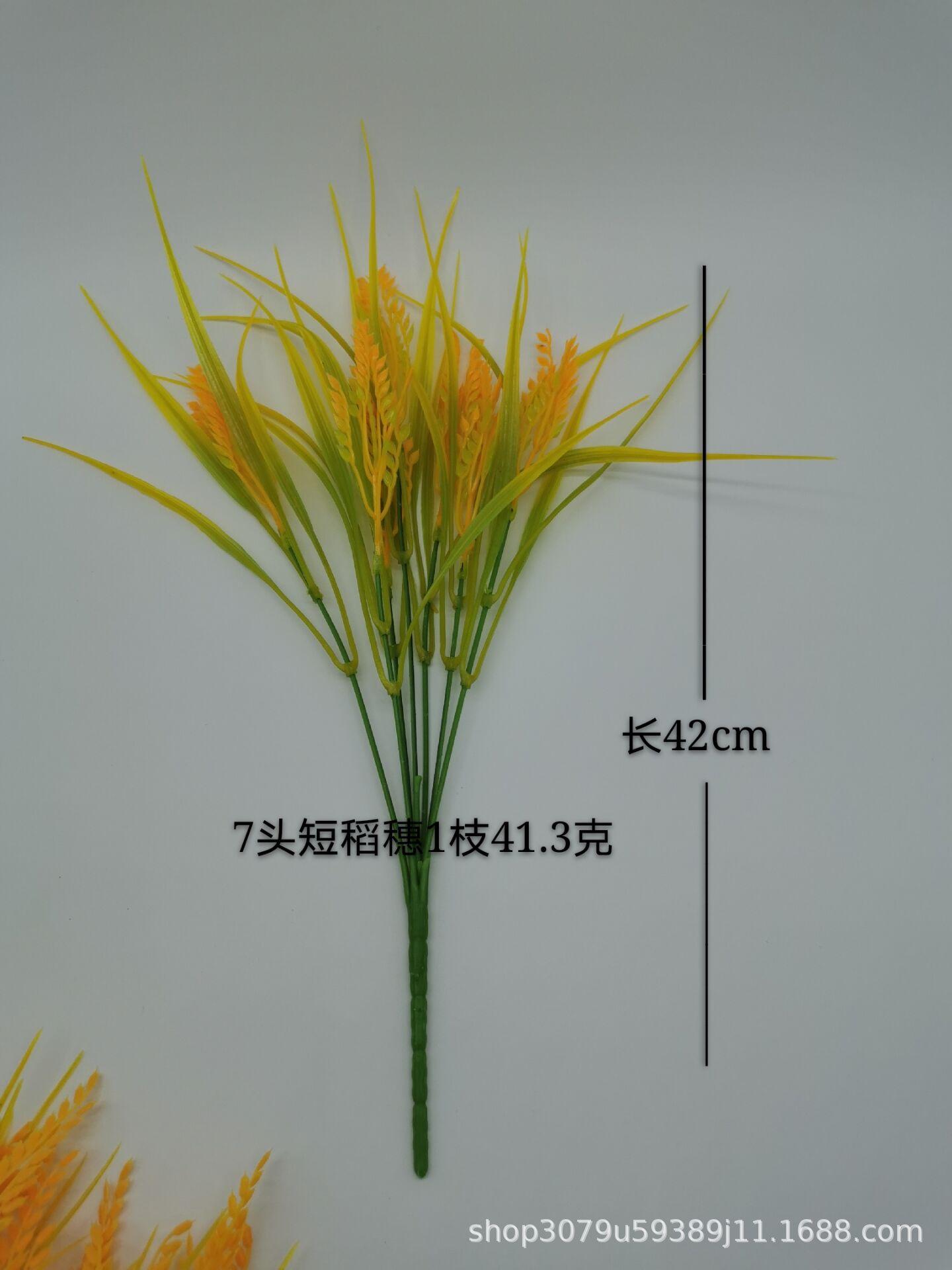 QQ图片20200516205234.jpg