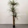 Simulação Beladona Árvore Floresta Tropical Planta Falsa Jardim Externo Paisagismo Decoração Árvore Dracena Árvore do Milênio Planta Verde