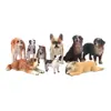 Set de 9 Figuras Realistas de Perros PVC Perros Miniatura Incluyendo San Bernardo Bulldog Collie y Más Juguetes de Animales para Niños Perfectos para Coleccionar