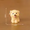 Micro paisaje creativo lindo simulación cachorro muñeca caja ciega joyería accesorios coche escritorio mini adornos