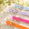Set de Collar y Correa para Gato y Perro de Color Sólido de PVC, Set de Dos Piezas Impermeable y Resistente a la Suciedad para Mascotas, Personalizable desde la Fábrica de Origen