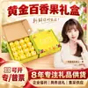 Caixa de Presente de Fruta Maracujá Dourado de Guangxi Grupo de Compra de Presentes de Feriado Presentear Produtos de Ano Novo Presente para Família e Amigos Presente de Fruta Fresca