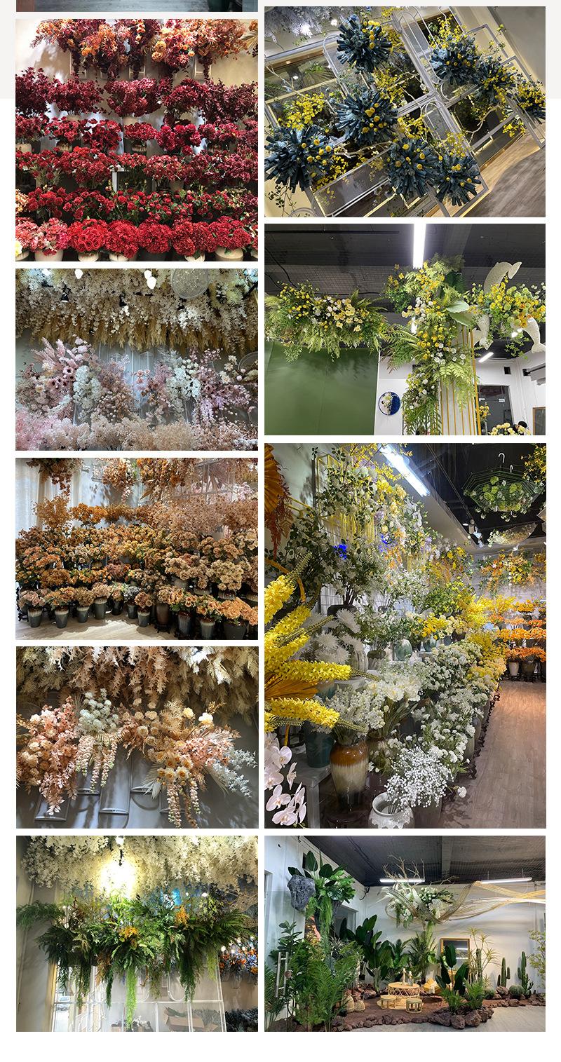 中号飞燕草-详情_15.jpg