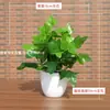 Planta de Simulación Set de Plantas Verdes Adornos Pequeños de Maceta Potos Decoración de Mesa de Comedor Interior Flor Artificial de Plástico Flor de Simulación Sala de Estar