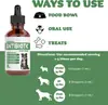Antibiótico Natural para Cães