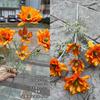 Fabricante de Flores Artificiais Laranja Pôr do Sol, Laranja Vermelho Pôr do Sol Arco para Corredor de Casamento com Tema de Outono Decoração Suave Flores Artificiais Atacado