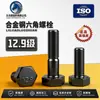 Acero Aleado Grado 12.9 Perno Hexagonal Gb95 Negro Oxidado Set de Conexión para Soporte Antisismo Soporte Fotovoltaico