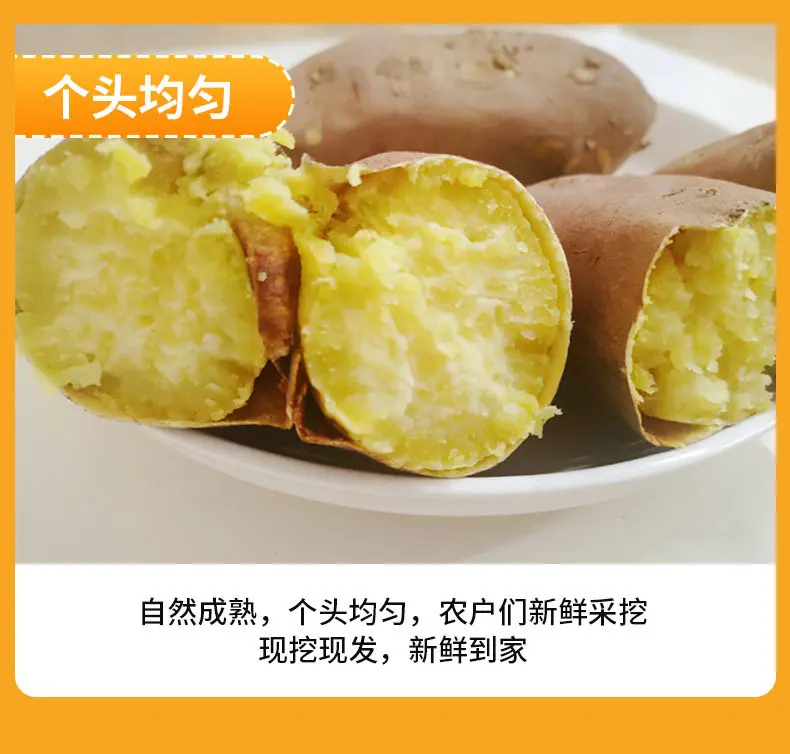 详情790_08.jpg
