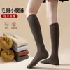 Meias Cano Alto Femininas para Outono e Inverno, Forradas com Lã, Engrossadas, Quentes, Meias de Maternidade de Cano Alto, Meias de Maternidade Quentes de Pelúcia com Terry de Cano Longo