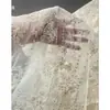 Encaje de gloria de la mañana de albaricoque francés bordado de malla degradado translúcido vestido de noche bordado falda de vestido de boda tela para ropa