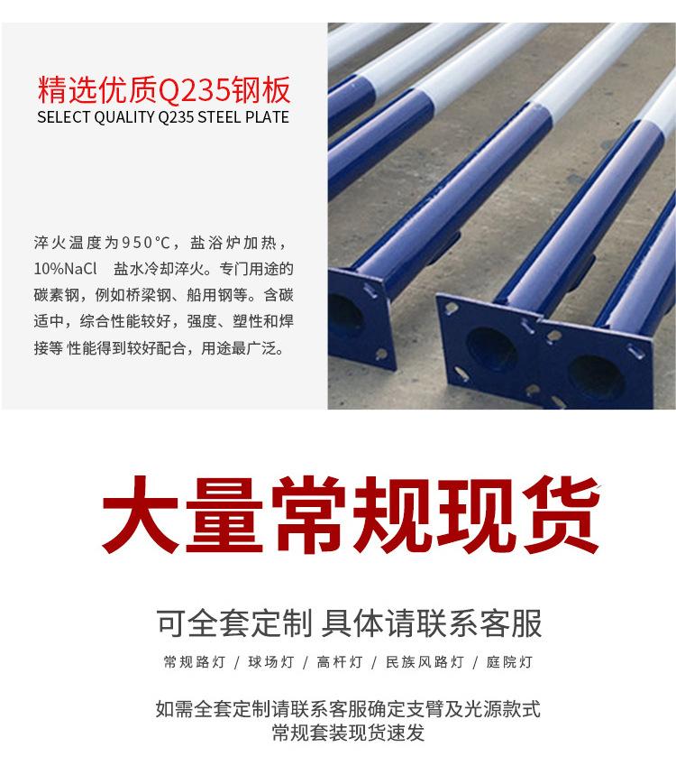 25大小杆路灯_15.jpg