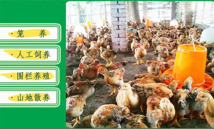 微信图片_20231224095449