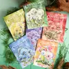 Día Hermoso Calcomanía de Concha para Luz Bolsa de PET Serie Pacto del Diente de León Material de Decoración DIY para Diario Collage