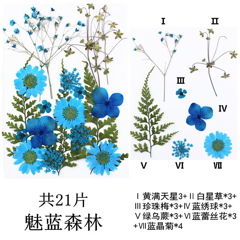 IMG_4127_副本_副本.jpg