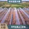 Design completo de estufa inteira com estufa única e estufa de cultivo turístico contínua conjugada com sombreamento e isolamento térmico da estrutura externa