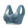 Comercio Exterior Transfronterizo Europeo y Americano Temu Amazon Shein Chaleco sin Costuras Estilo Talla Grande Espalda Bonita Sujetador Push-Up Ropa Interior para Mujer
