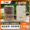 Cajas de Apicultura Tradicionales para Abejas de Tamaño Mediano, Cajas Secas de Madera de Cedro Atractoras de Abejas, Cajas de Abejas para Cría en Suelo, Cajas de las Tres Gargantas