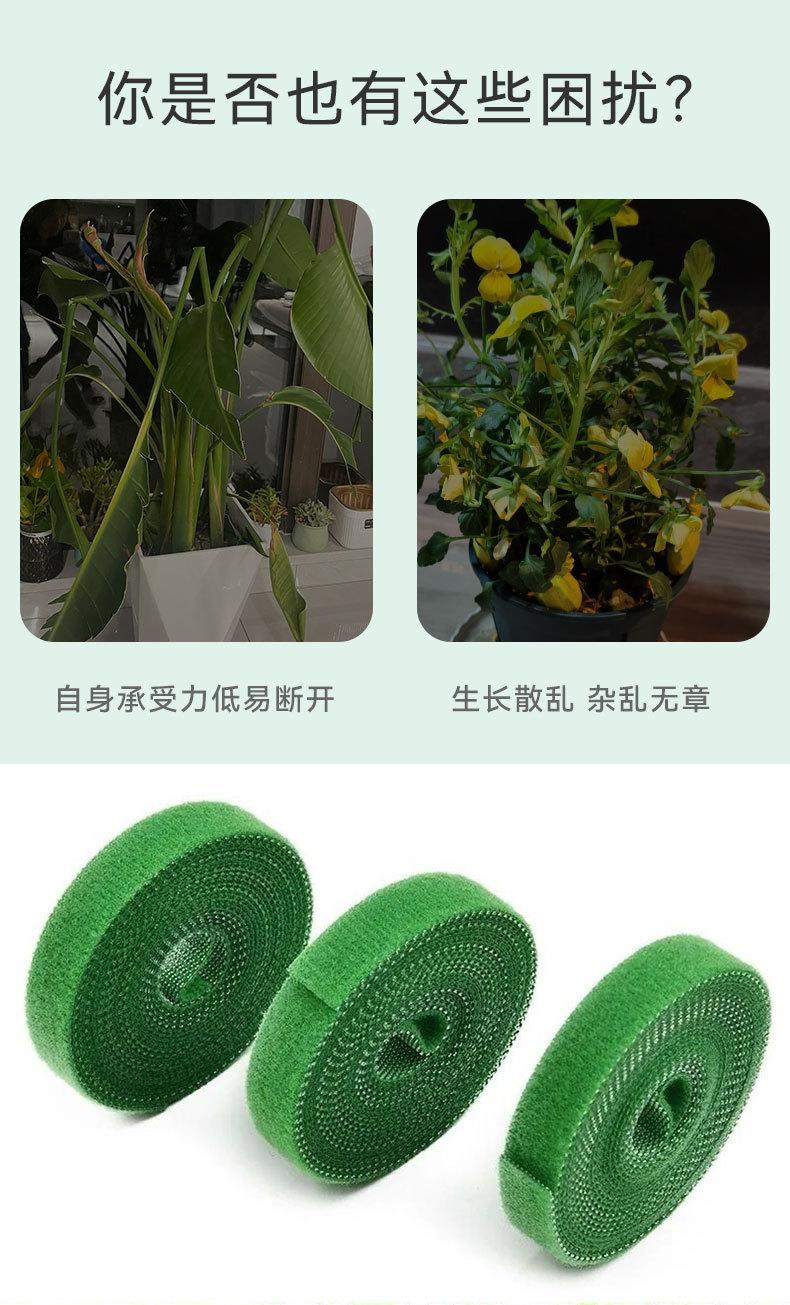 绿植魔术贴详情页_05.jpg
