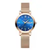 Reloj de Malla Transfronterizo para Estudiante, Hombre, Tres Manecillas, Calendario, Luminoso, Moda Simple, Resistente al Agua, Reloj Electrónico de Cuarzo