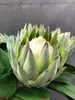 Simulação Ramo Único Implantação de Cabelo Grande Flor Imperial Nórdica Simples Flor Dominadora Enfeites de Decoração para Casa Implantação de Cabelo Pastoral Flor Princesa