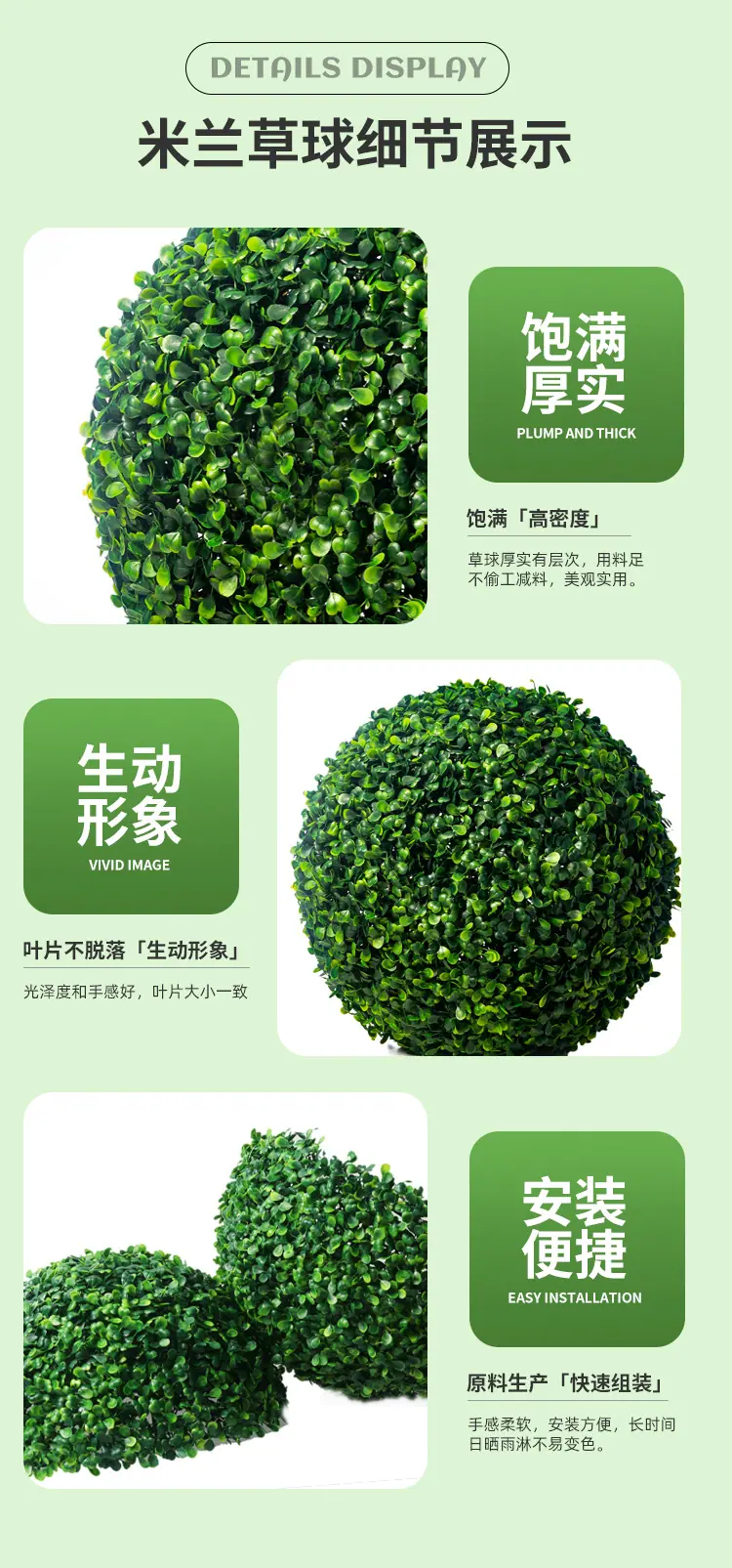 米兰草球详情5