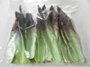 Accesorios de modelo de frutas y verduras de simulación Manzana Falsa Naranja Pera Pimiento Patata Hoja de Verdura Fotografía Suministros de Educación Preescolar