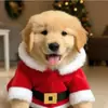 Capa Roupa de animal de estimação Transfronteiriça Super-herói Cachorro Moletom para animal de estimação Pelúcia Bordada Roupas para cachorro