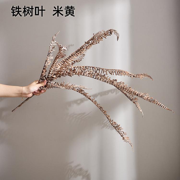 铁树叶  米黄