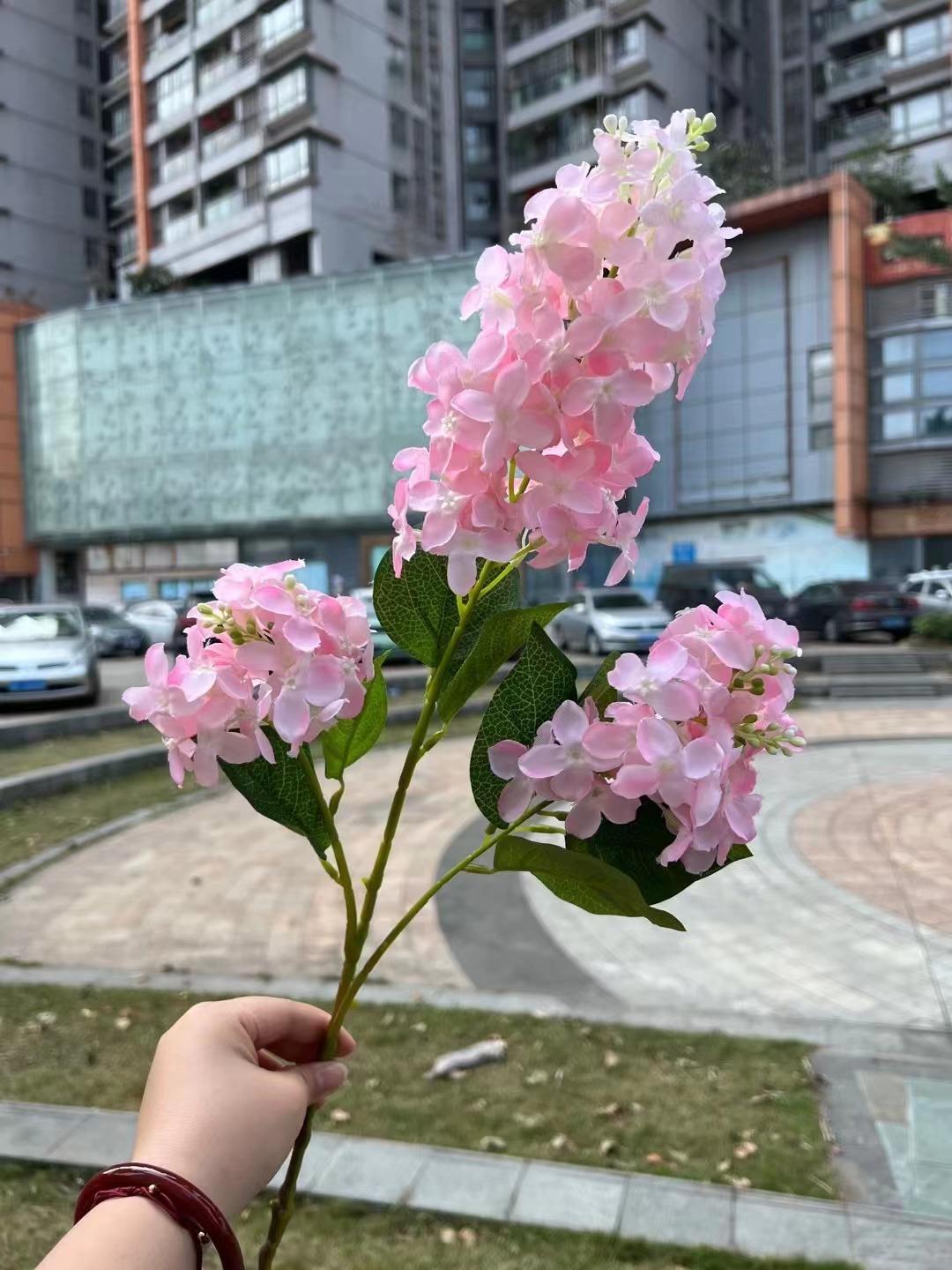 微信图片_20230725193435