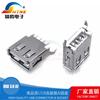 Conector de interfaz USB vertical con curvatura de pie rizado, enchufe recto de 180 grados, asiento hembra tipo A