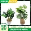 Simulação de Planta de Folha de Tartaruga Real Decoração de Folha Verde Decoração de Casa Simulação de Tartaruga Bambu Vaso de Flores Vaso de Plantas Paisagem